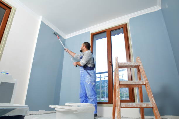 Best Fire-Damaged Drywall Repair  in Chesaning, MI