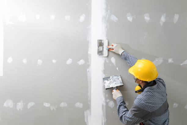 Best Drywall Finishing  in Chesaning, MI